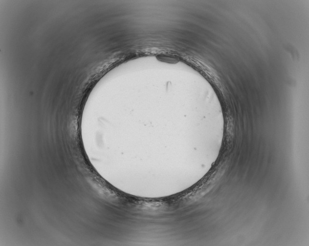 X0000110980401200907310953