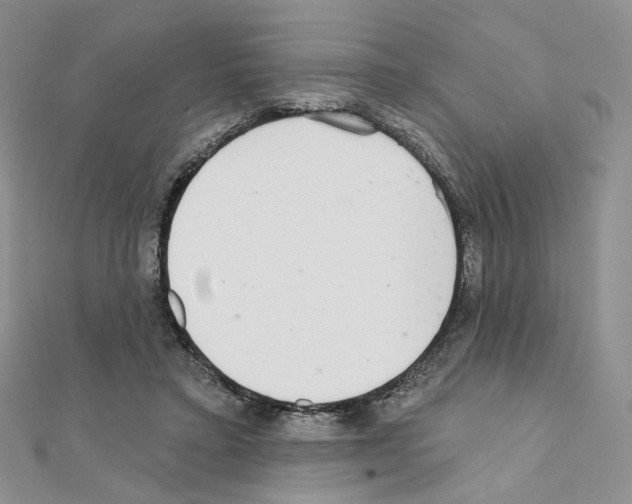 X0000110980403200907310953