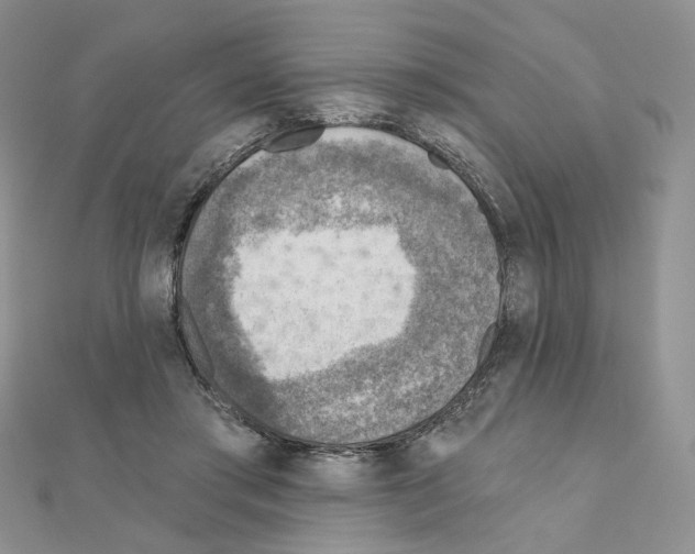 X0000110980405200907310953