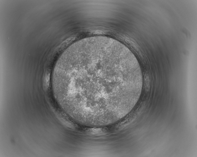 X0000110980406200907310953