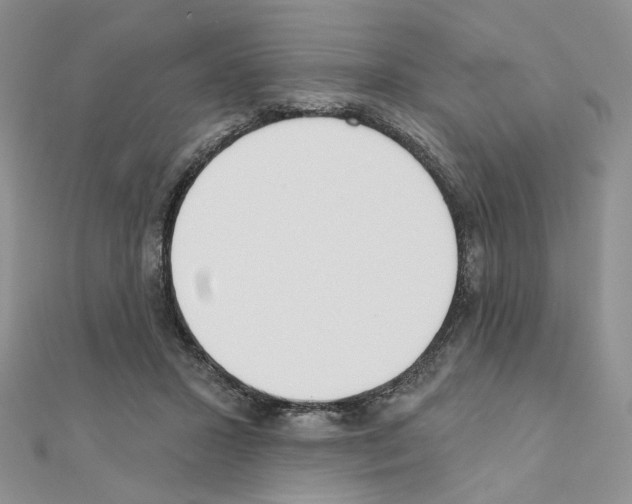 X0000110980407200907310953