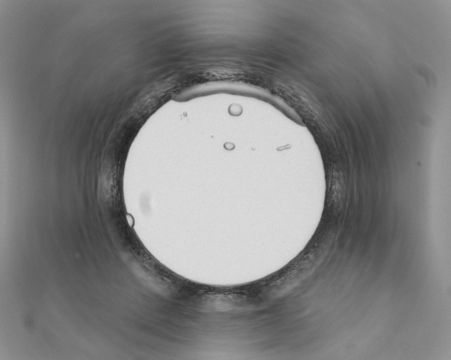 X0000110980408200907310953