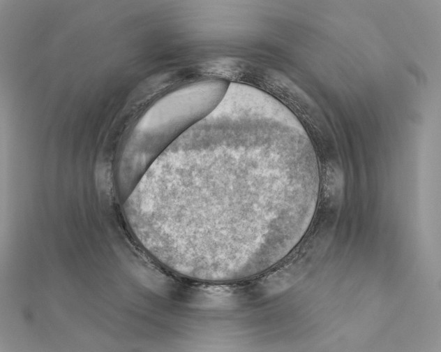 X0000110980409200907310953