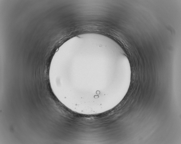 X0000110980411200907310953