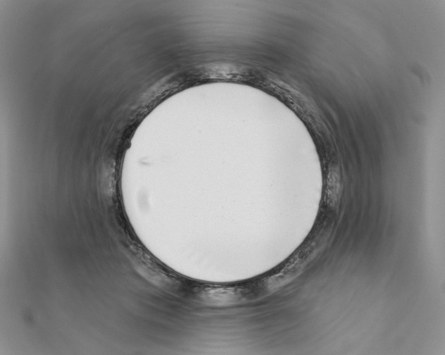 X0000110980413200907310953