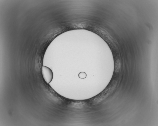 X0000110980414200907310953