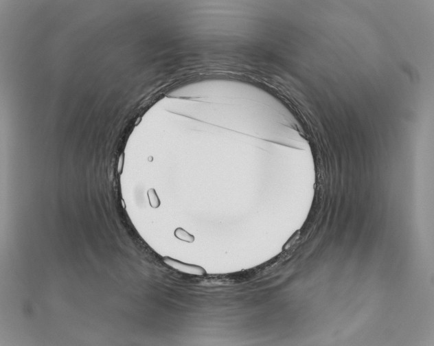 X0000110980415200907310953