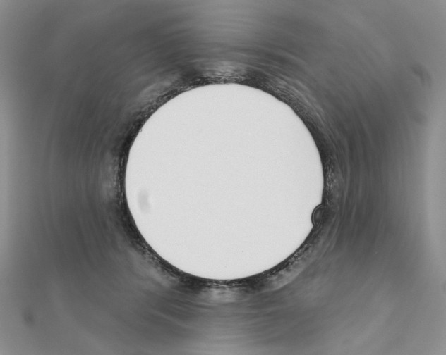 X0000110980416200907310953