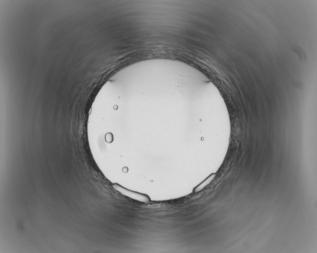 X0000110980417200907310953