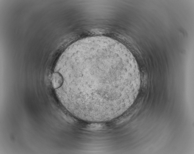 X0000110980418200907310953