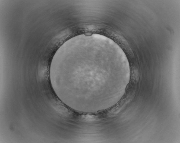 X0000110980419200907310953