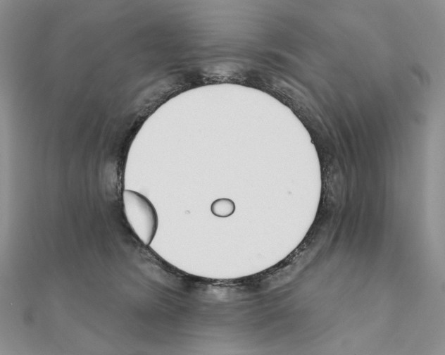 X0000110980420200907310953