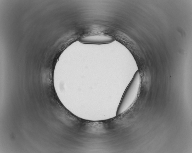 X0000110980421200907310953