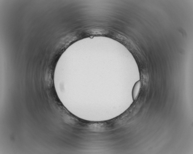 X0000110980422200907310953