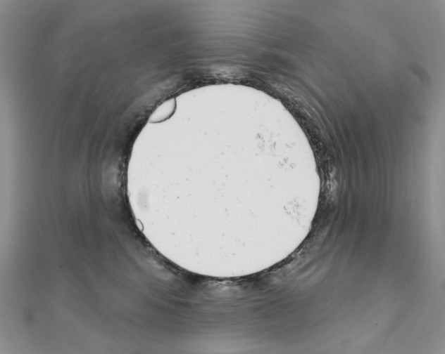 X0000110980424200907310953
