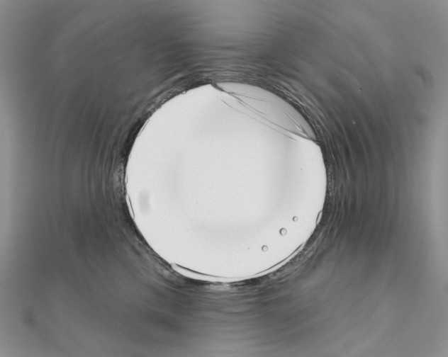 X0000110980425200907310953