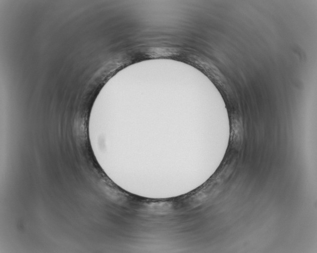 X0000110980426200907310953