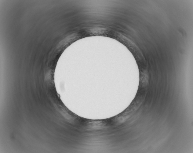 X0000110980428200907310953
