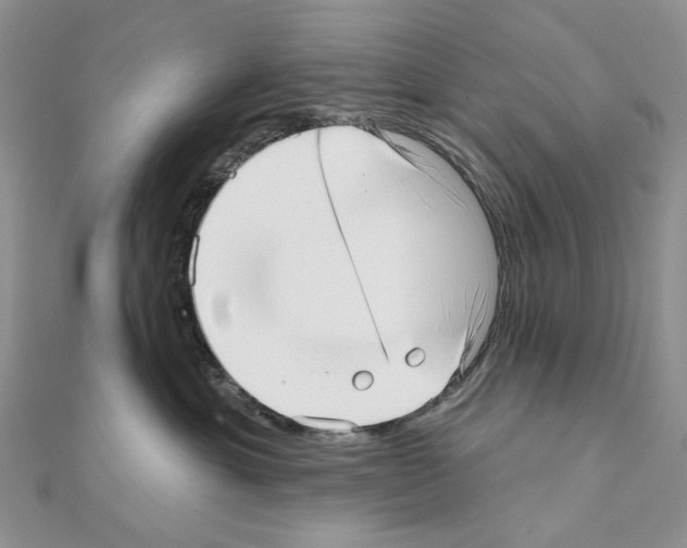 X0000110980429200907310953