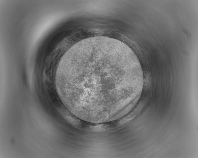 X0000110980430200907310953