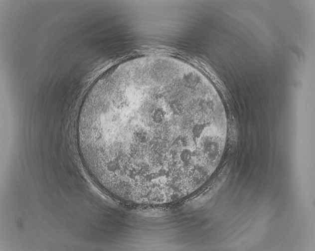 X0000110980433200907310952