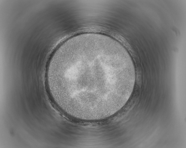 X0000110980434200907310952