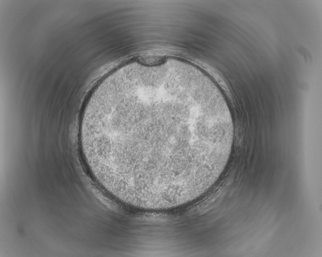 X0000110980437200907310952