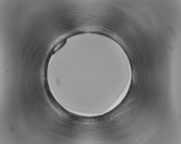 X0000110980438200907310952