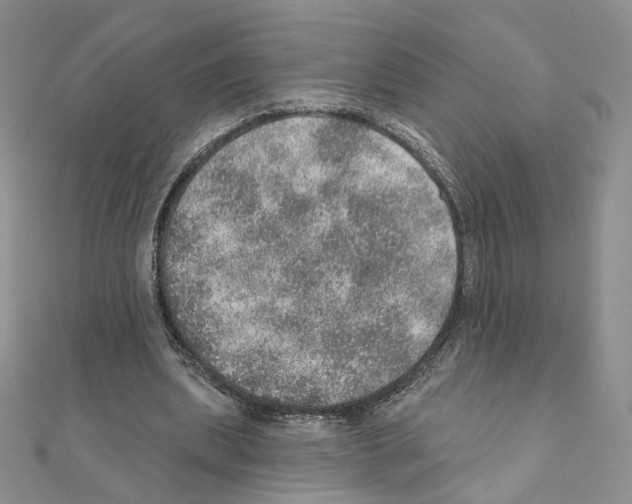 X0000110980439200907310952