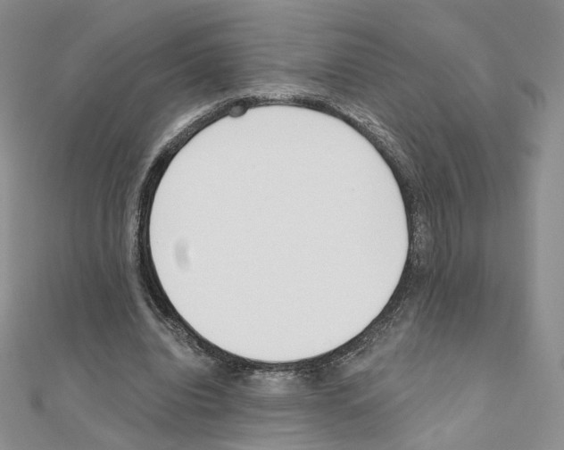 X0000110980440200907310952