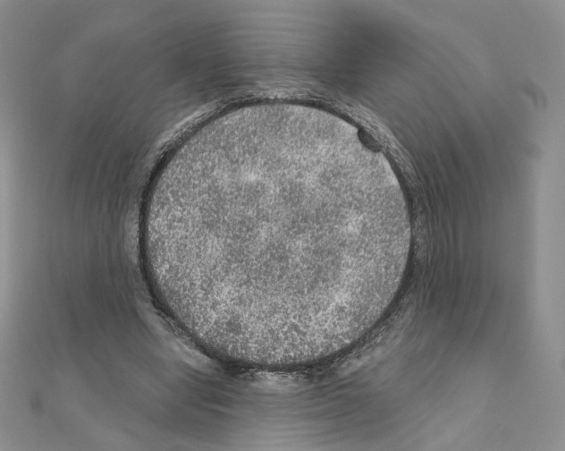 X0000110980442200907310952
