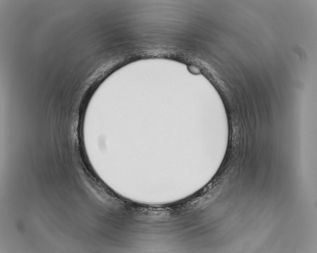 X0000110980443200907310952