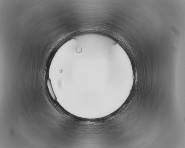 X0000110980444200907310952