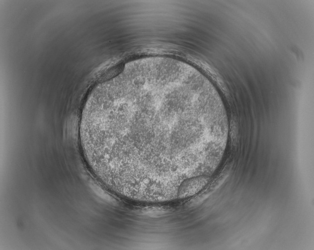 X0000110980445200907310952