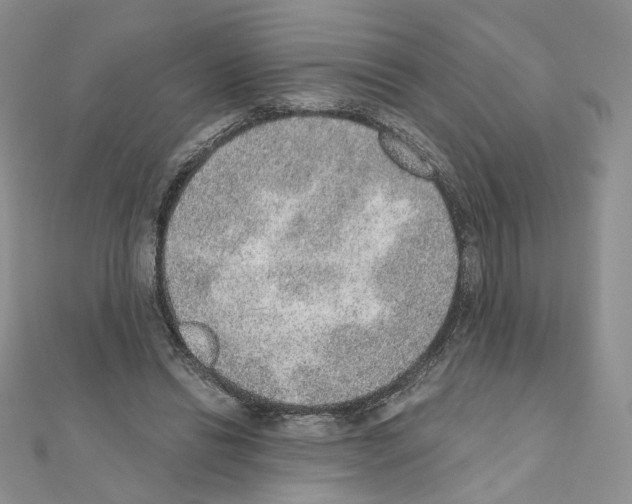 X0000110980446200907310952