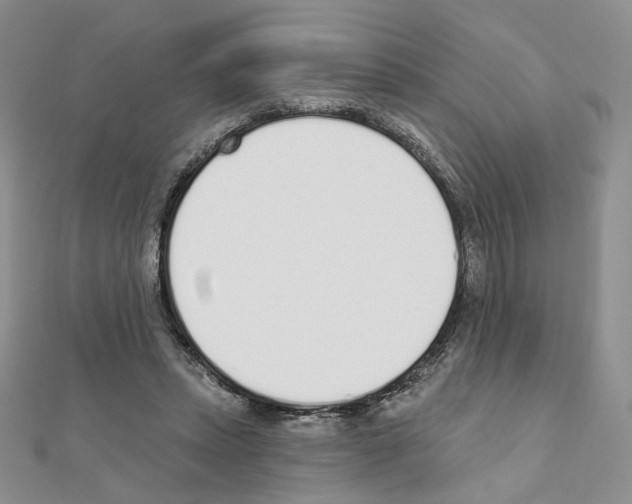 X0000110980447200907310953