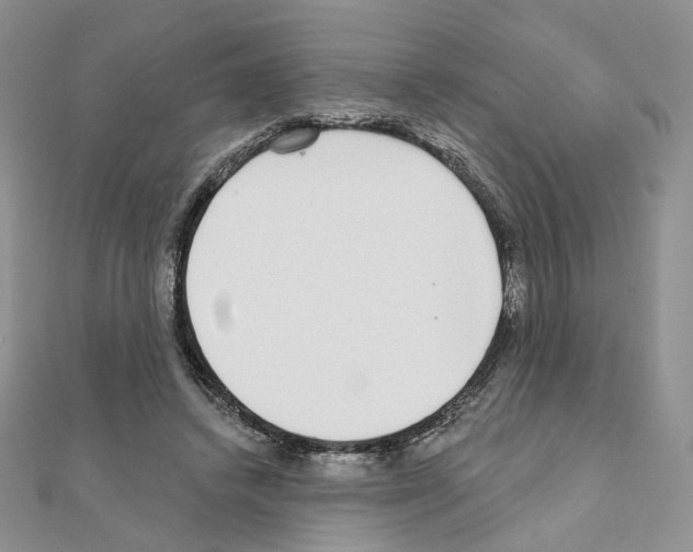 X0000110980448200907310953
