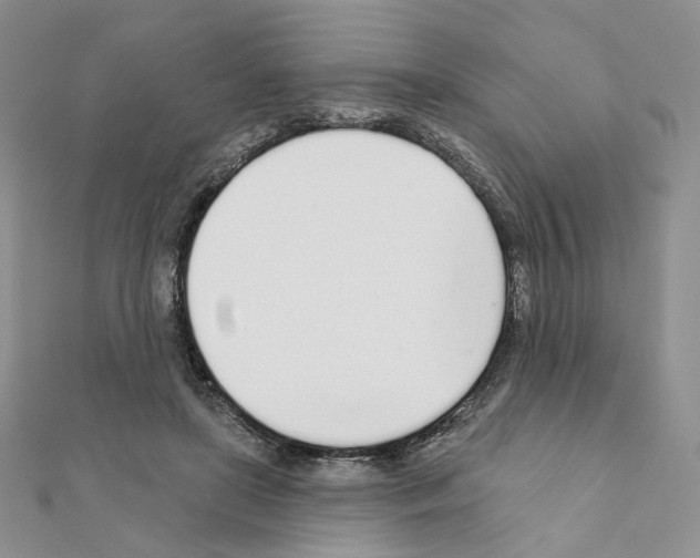 X0000110980451200907310953