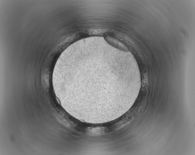 X0000110980452200907310953