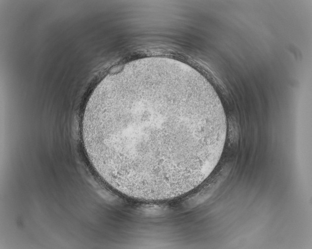 X0000110980453200907310953