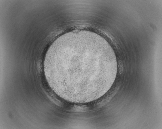 X0000110980455200907310953
