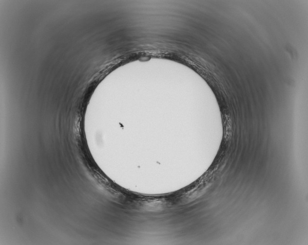 X0000110980456200907310953