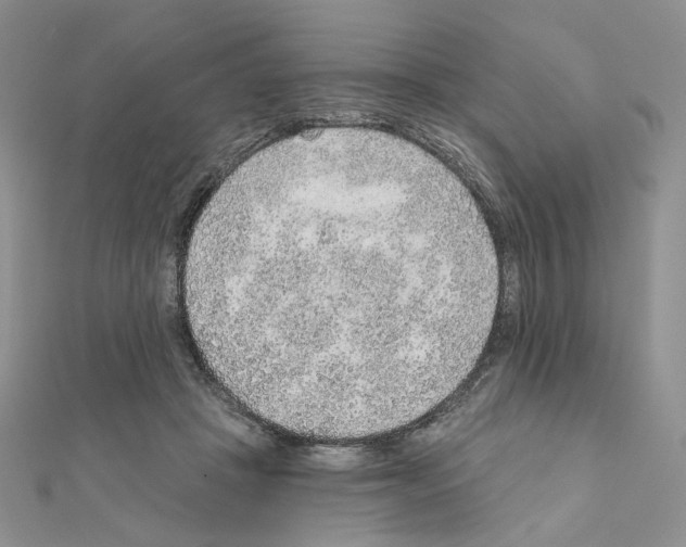 X0000110980457200907310953