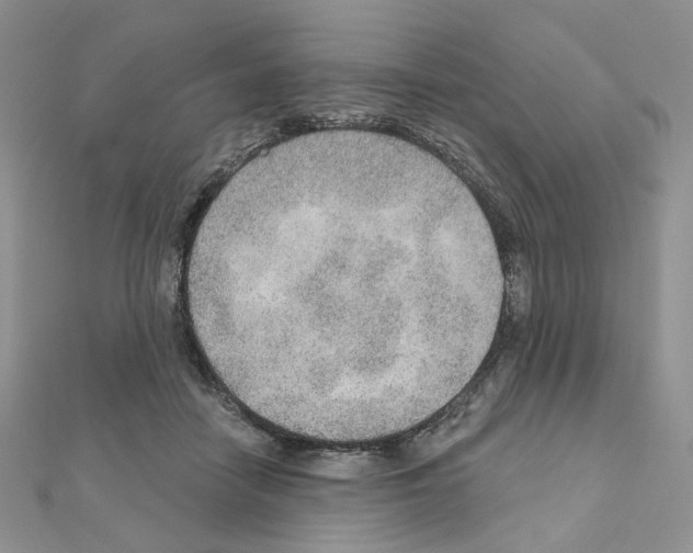 X0000110980458200907310953