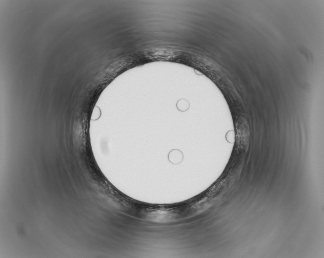 X0000110980460200907310953