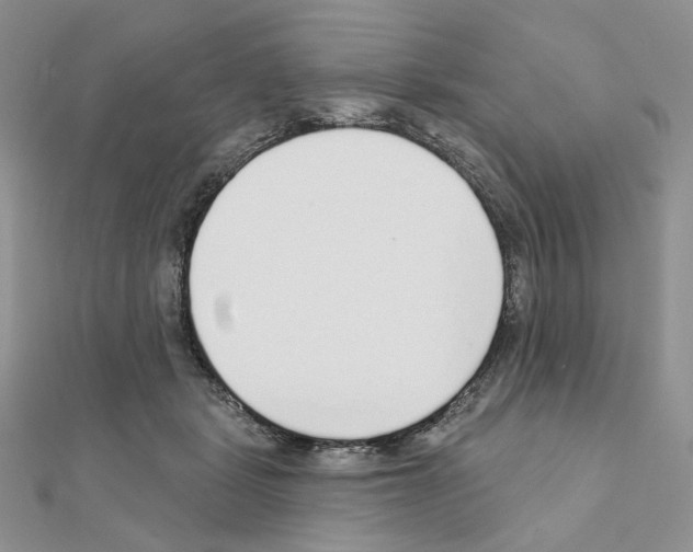 X0000110980461200907310953