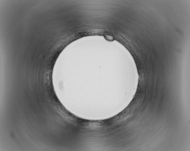 X0000110980462200907310953