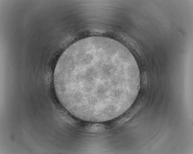 X0000110980463200907310953