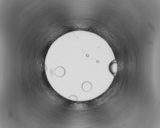 X0000110980464200907310953