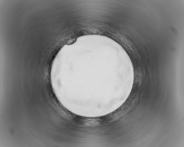 X0000110980465200907310953